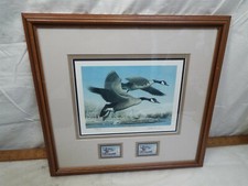 1990 Robert Steiner CO Wildlife Canada Goose Stamp Print Framed Signed Colorado