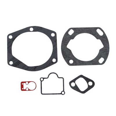 Motor Dichtsatz Dichtungen Bing für Hercules Prima M 2 3 4 5 Sachs 504 505 Motor
