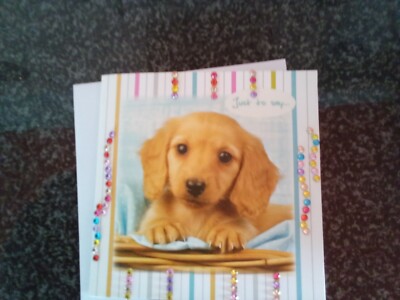 DAXY PUPPY   Notizblatt/Grußkarte mit handverzierten Kristallen Neu