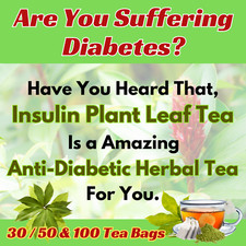 Insulin Plant Leaf Herbal Tea Bags Diabetic Organic Costus Igneus Leaves Powder