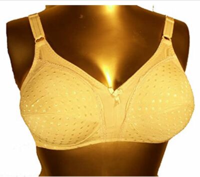 NEW Viania Non-Wired Soft Cups Bra with Shiny Embroidered Motifs, Color: Nude