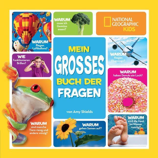 Thumbnail - Mein Großes Buch Der Fragen