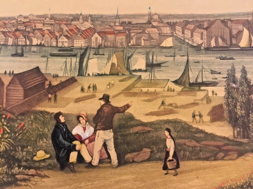 Hormiga francesa "Vue De Baltimore" puerto grabado por un grabador Garneray enmarcado - Imagen 9 de 12