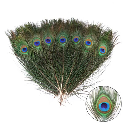 12pcs Peacock Feather Natural in Bulk 10-12 inch 25-30cm Small EyeFor Craft