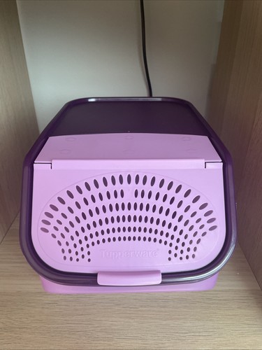 Tupperware Zwiebellager 3,2 L Lila Neu