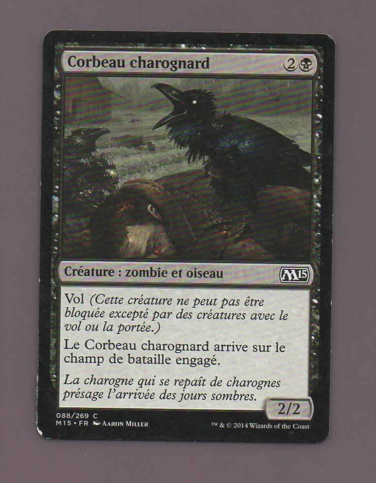 Magic Nr. 088/269 - Rabe Schnitzeljagd (B121)