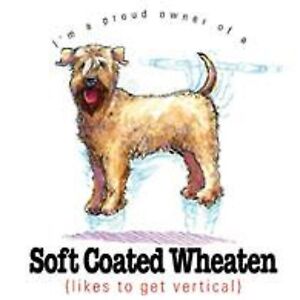 Wheaten Terrier Size Chart