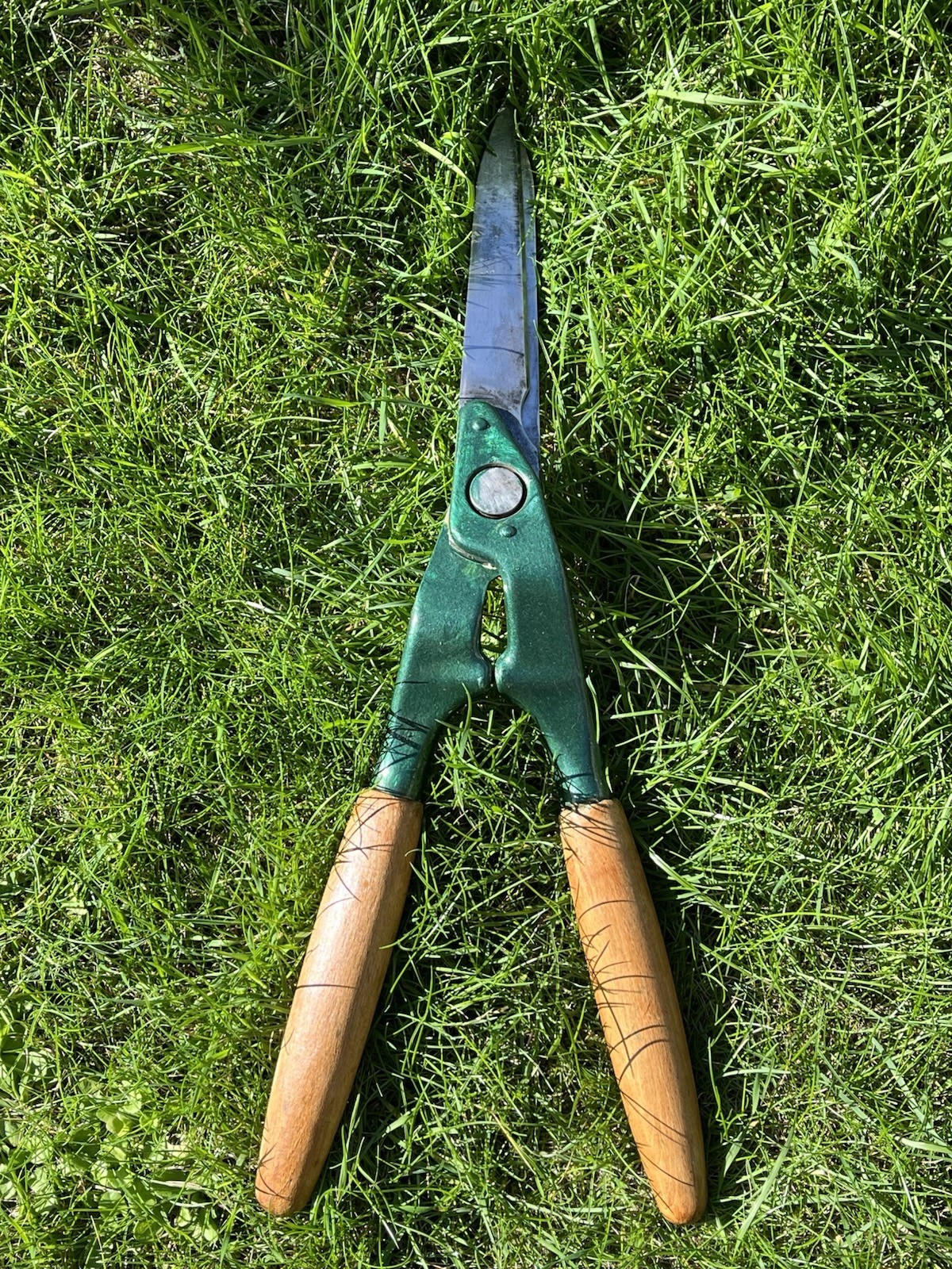 Picture 4 of 15