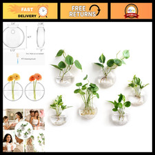 6 Pack Wall Planters for Propagation, Oblate Hanging Plant Holder Vases