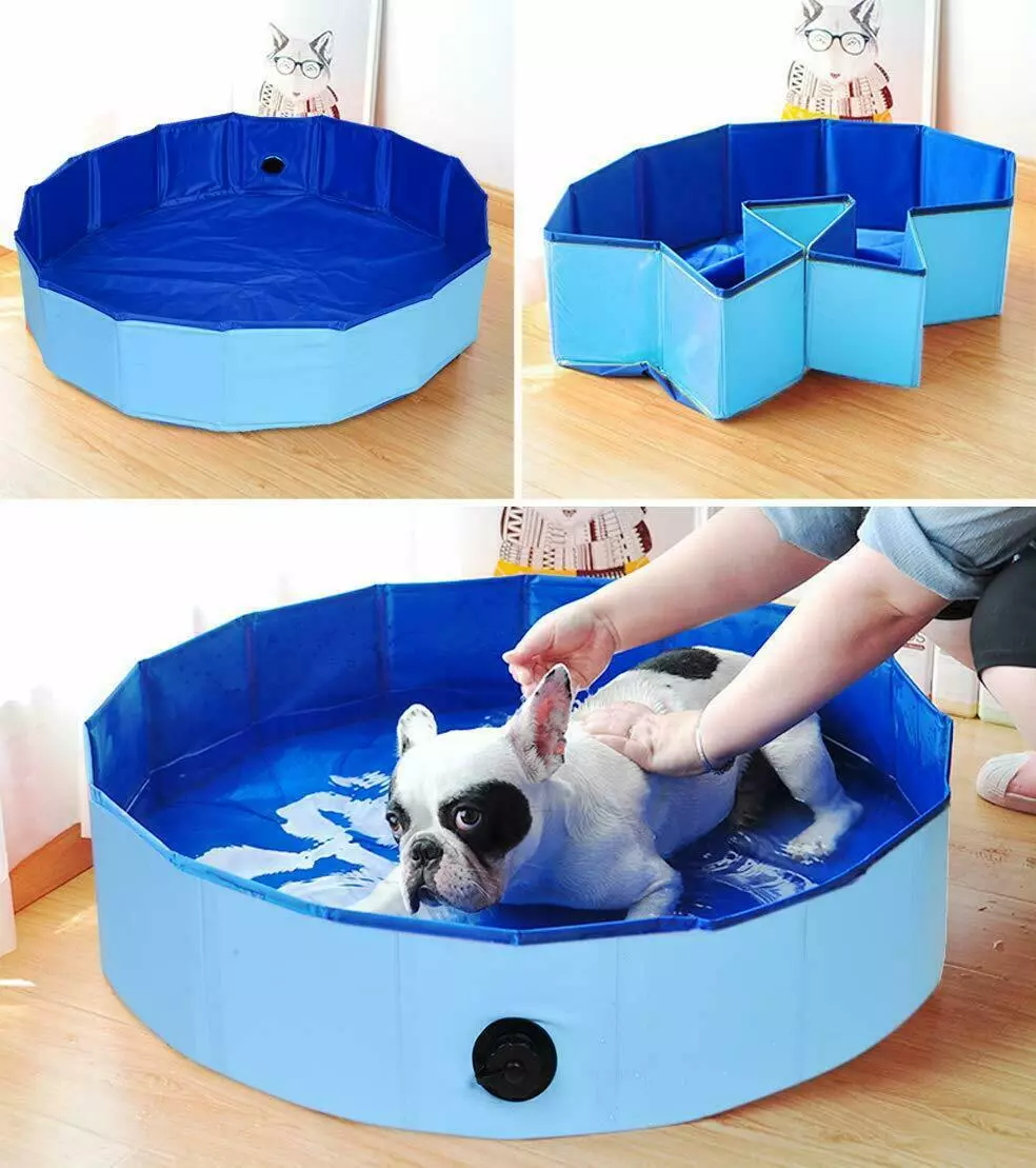 Dog bath best sale pool