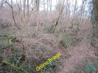 Photo 6x4 Green Dingle, Wheathill Loughton/SO6183 Woodland on steep clay c2012