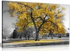 Large Tree Yellow Leaves Black White Nature Canvas Wall Art Picture Print