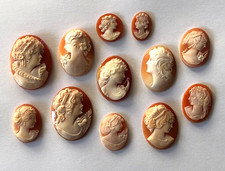 12 x  Muschelkamee ungefasst