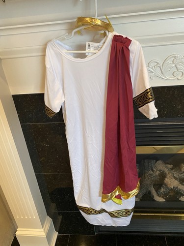 Roman Emperor Julius Caesar Child Costume