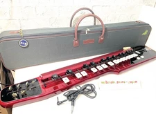 Suzuki RAN Electric Taishogoto Alto Herp Koto With Case Instrument Working