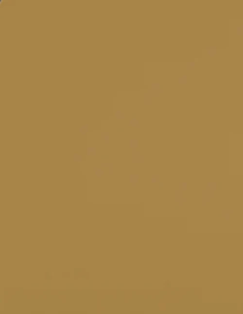 TIFFEN 2 X 2 SEPIA # 1 FILTER -LAST ONE - Image 2 of 3