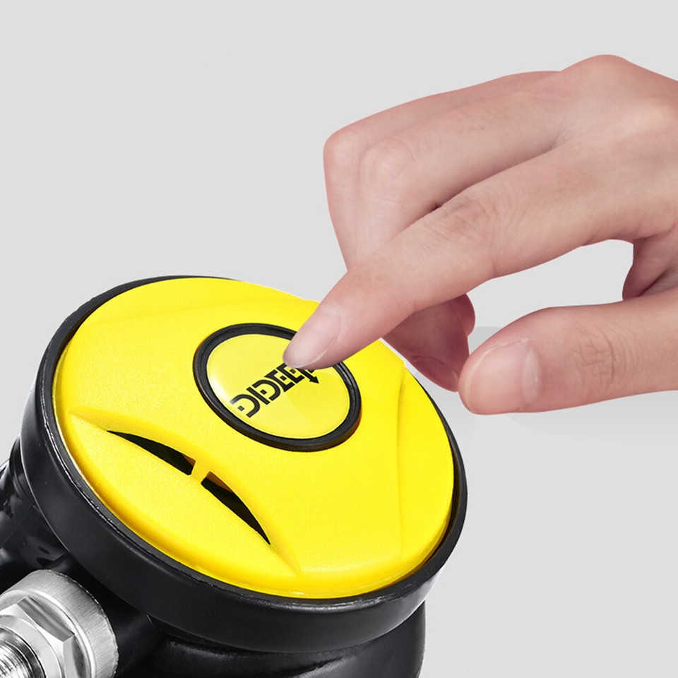 1L Mini Scuba Diving Case Kit Water Lung Oxygen Tank Pump Submersible