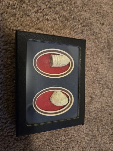 Civil War Bullets from Gettysburg  In Display Case