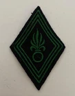 Foreign Legion’s Shoulder Diamond. Troop (L248)