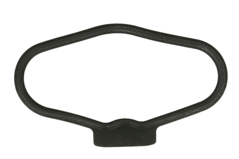 Picture 1