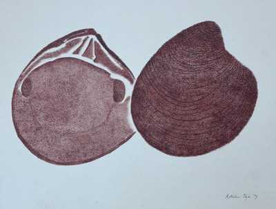 KATHLEEN JILL ELGIN ORIGINAL DRAWING PAINTING 2 CLAM SHELLS BROWN SEPIA 1973 ART