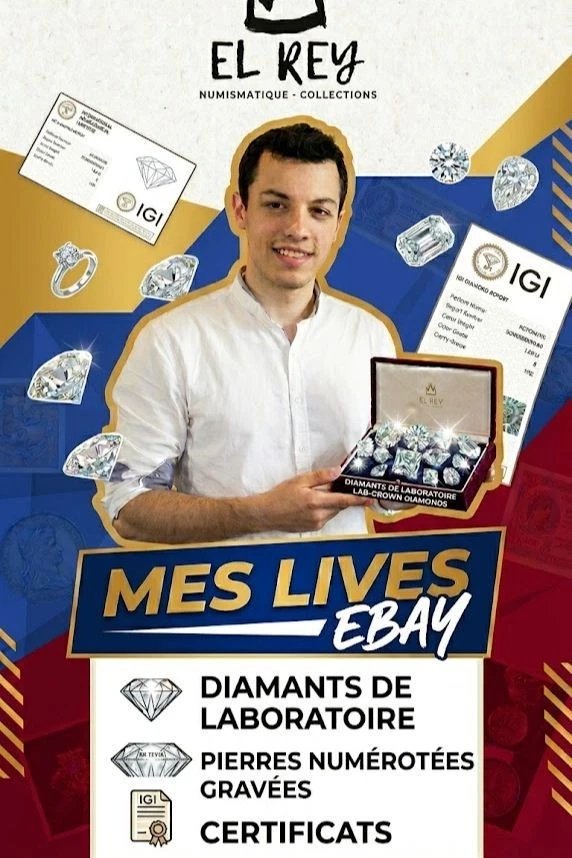 Vente Spéciale : Diamants de Laboratoire Certifiés IGI