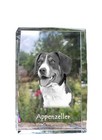 Appenzeller Sennenhund, Appenzeller Dog - Crystal With A Dog Image, Image In