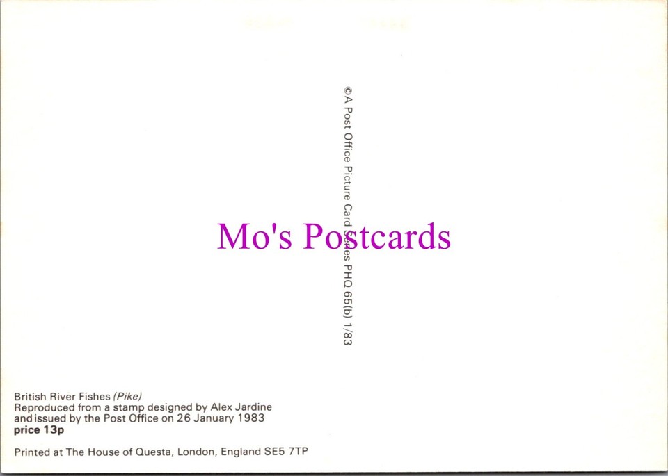 Post Office Stamp Postcard Animals, British River Fishes, Pike Fish