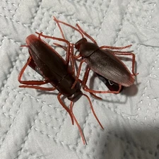 Fred bag Clips -Bag Closers Clips Gag Gift Bugs