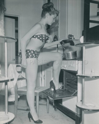 SEXY PIN-UP 50er FOTO ORIGINAL #5 MODELL: SHEREE BUSTY LEGGY BIKINI