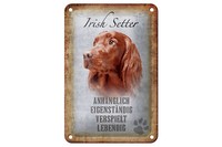 Blechschild Spruch 12X18 Cm Irish Setter Hund Geschenk Metall Deko Schild