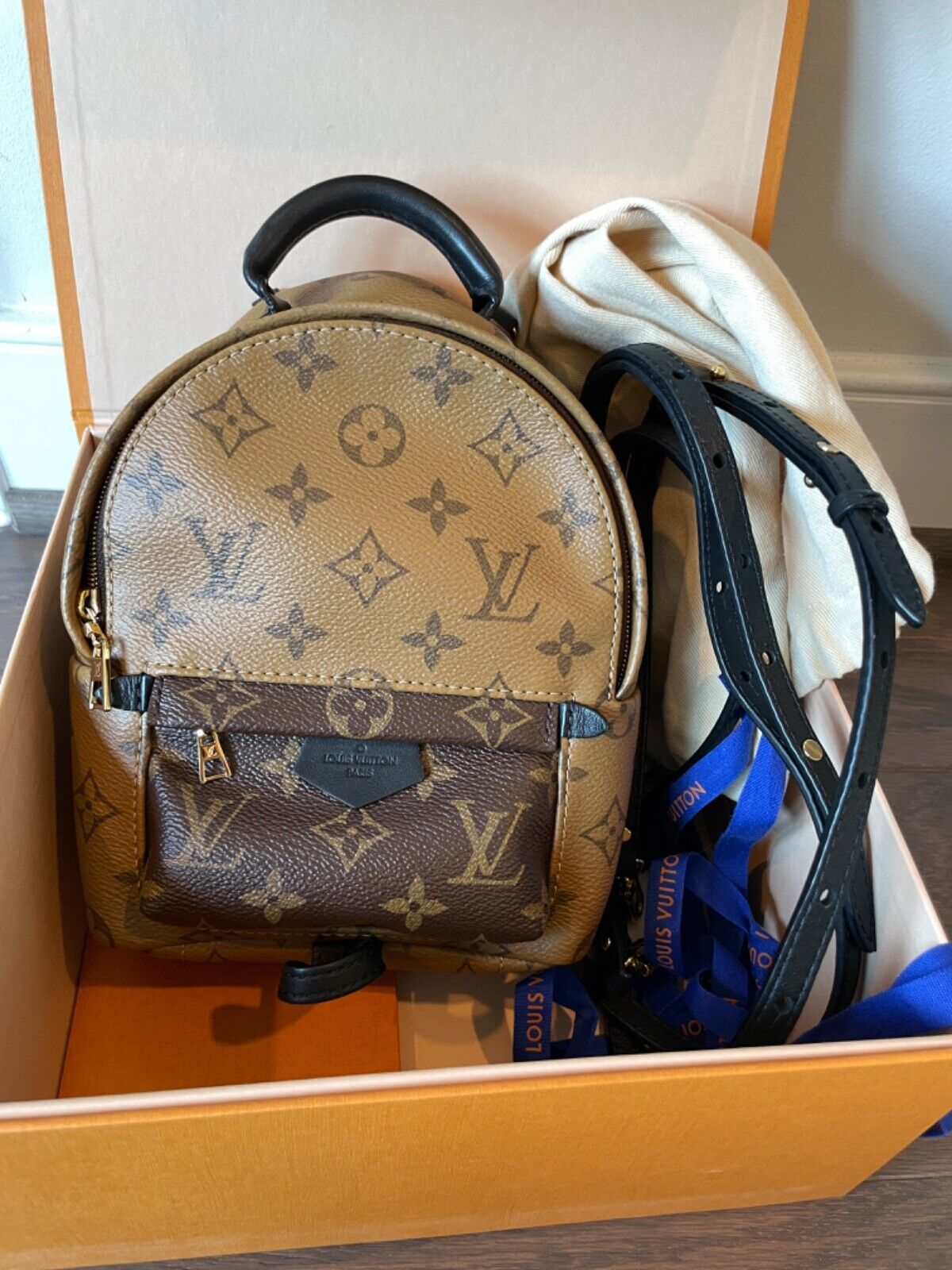 Most Covetted: The Louis Vuitton Palm Springs Mini Backpack