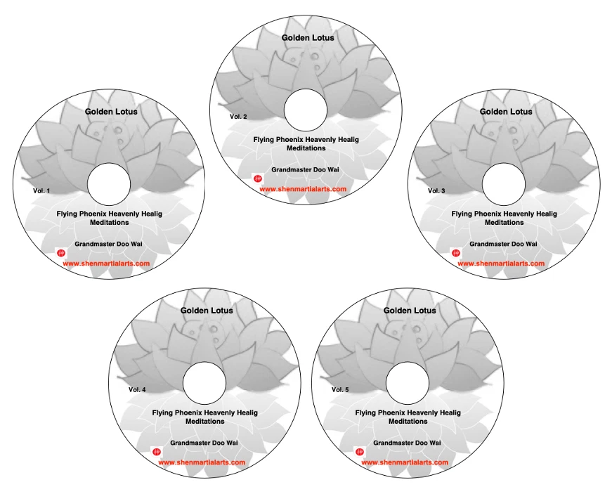 SHEN MARTIAL ARTS DVD - GM Doo Wai Golden Lotus Healing Meditations Level 17 Vol. 1 - 5