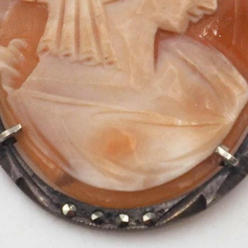Antique .800 Silver Coral Shell Cameo Pendant & Necklace - Picture 3 of 6