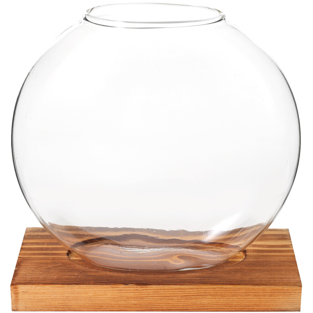 Artificial Plants for Decor Indoor Hydroponic Dill Ornaments Liquid Holder-image