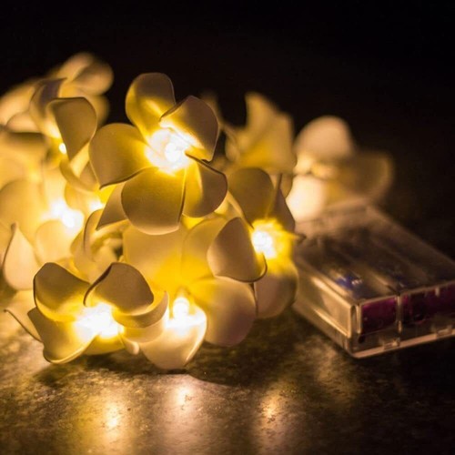 20/40 LED Frangipani Flower Fairy String Lights Lamp Wedding Party Home Decor - Picture 8 of 19