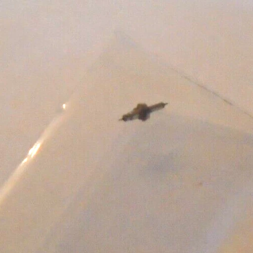 ELGIN 16 SIZE BALANCE STAFF #861-0 SR PIVOT: 10 NOS  --- BB-1265