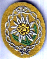 WWII Gebirgsj ger Heer Wehrmacht Mountain Light Infantry Unit Patch: EDELWEISS
