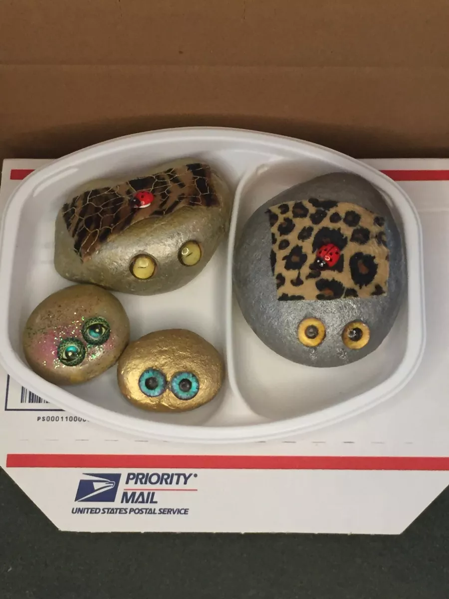 YOUR OWN PET ROCK FACTORY CREATE YOUR OWN MASTER PIECES USING