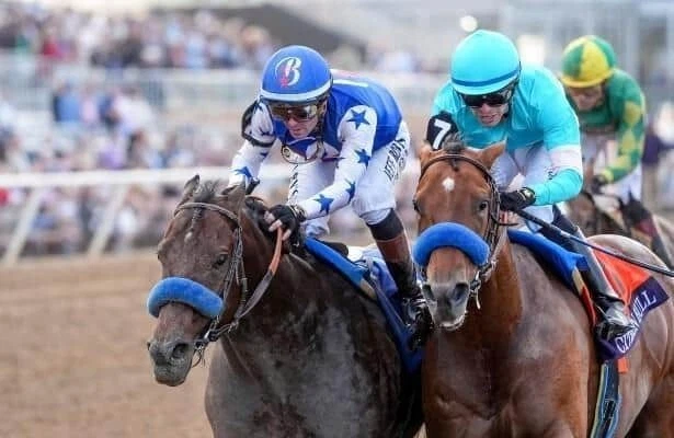 DVD - 2025 Breeders' Cup Television Broadcast - NBC - USA - FanDuelTV - 8+ Hours Foto 2 de 4