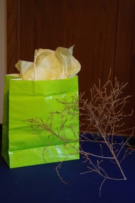 Authentic Tumbleweed, Gag Gift, Souvenir, Official Documentation, Gift Bag, Fun!