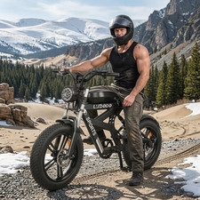 NEW 20" FAT TIRE ADULTS ELECTRIC BIKE 1500W 35MPH 48V 17.8AH MOUNTAIN EBIKE US