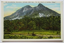 Grandfather Mountain Blue Ridge Linville North Carolina Postcard 