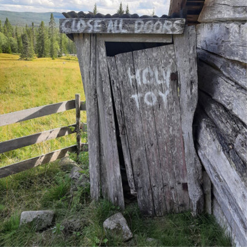 Альбом Holy Toy Close All Doors (винил) 12 (ИМПОРТ ИЗ Великобритании)