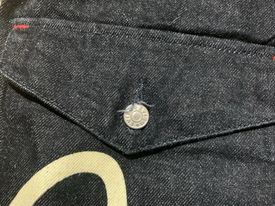 Pantalones de mezclilla para mujer Evisu 31 azul oscuro tela Japón varios bolsillos con logotipo PEC Foto 3 de 4