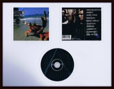 Prodigy The Fat of the Land 1997 Framed 11x14 CD  Photo Display
