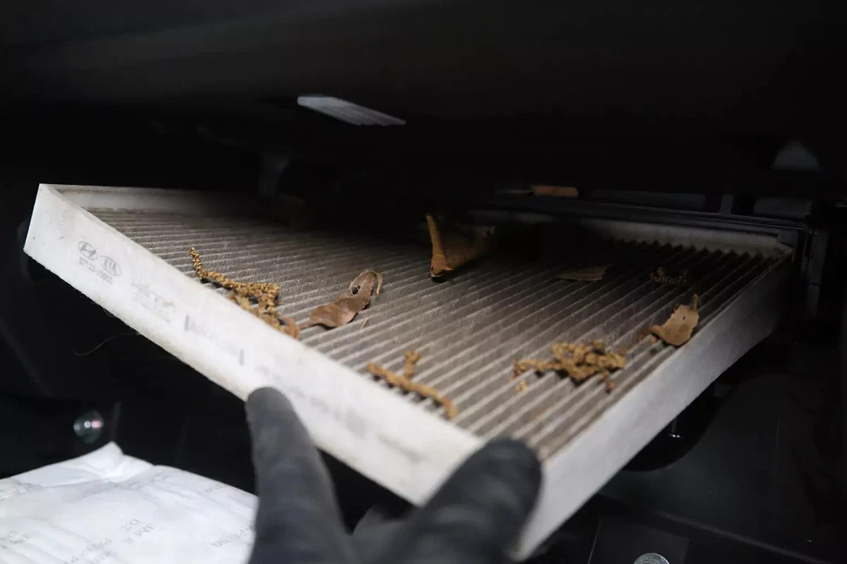 A mechanic wearing a black glove removes the old cabin air filter which is covered with debris.