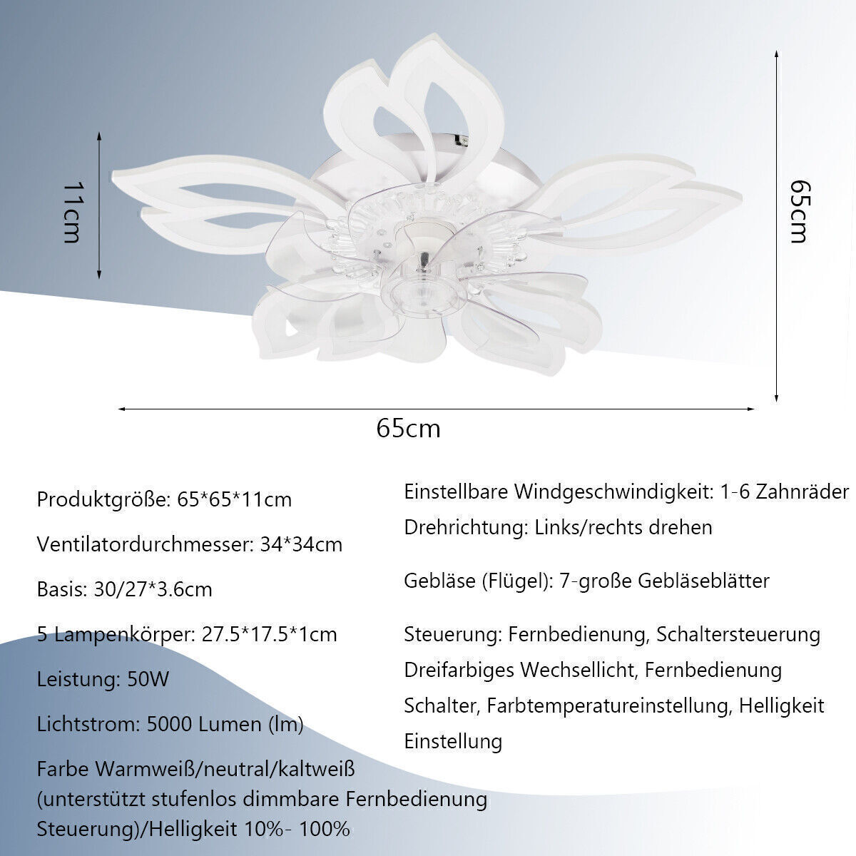 Bild 8 von 12