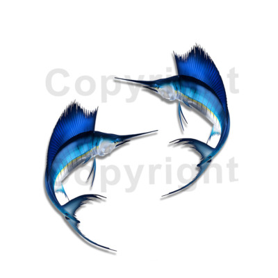 Sailfish Sticker Decal Fishing RV Boat Car Truck Camper Trailer F060 2 Pack