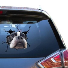 Boston Terrier Car Sticker Boston Terrier Vinyl Decal Truck Funny Stickers